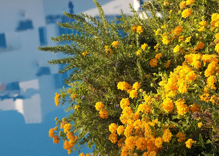 Station touristique Balaia Golf Village Albufeira