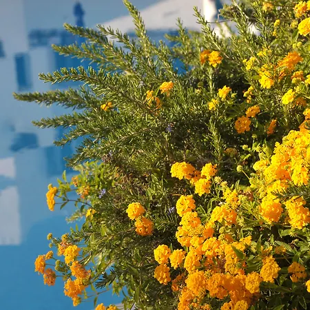 Rezort Balaia Golf Village Albufeira